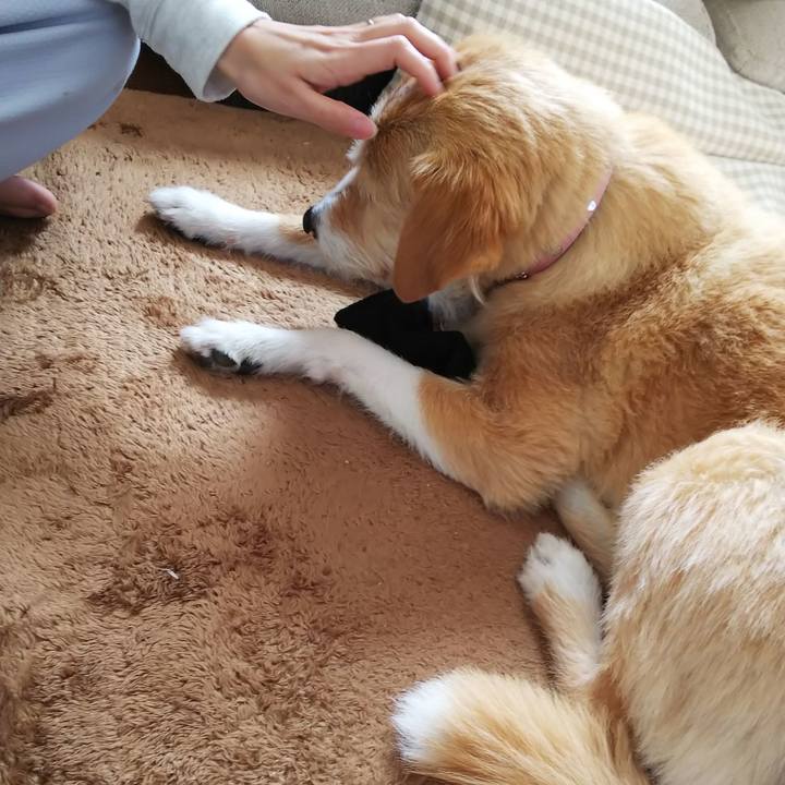 6cf93e4b 9766 4d37 9db1 805f77bc8da9 1554075085094