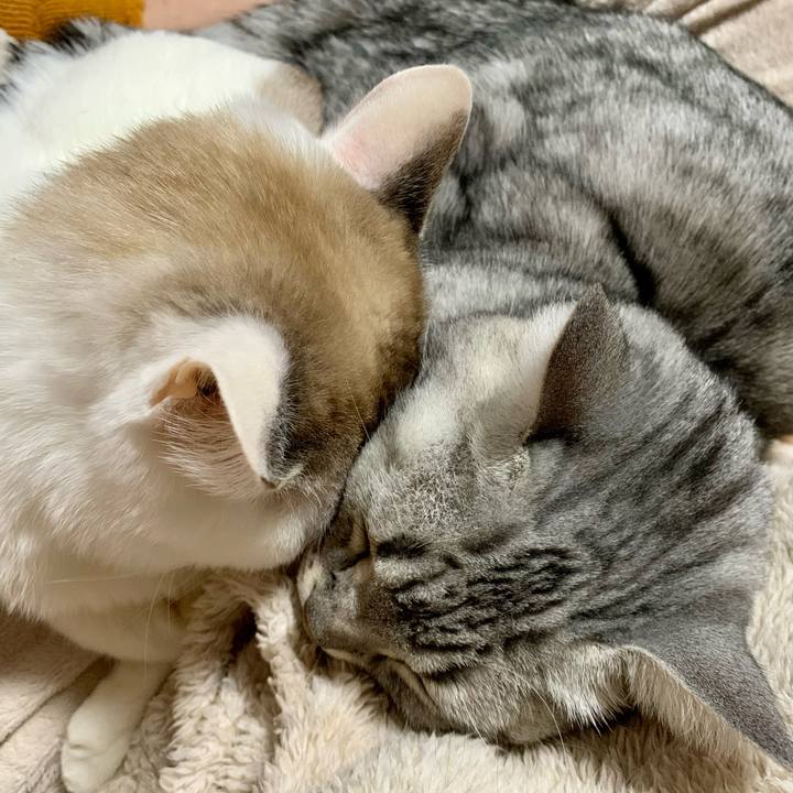 6cf96558 f7c3 451d b1e0 8b36f2b99a68 1641899396196