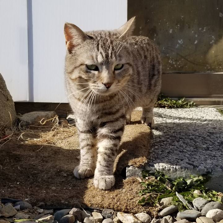 6cf98dd6 0749 4173 9b71 0347a1a1b961 1618209998278