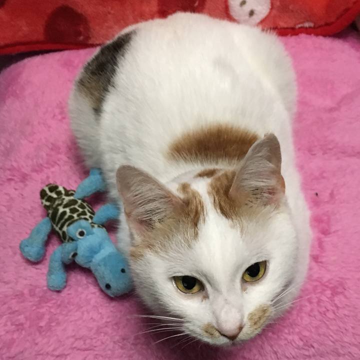 6cf9af70 71e0 4eee b966 34819b1615ab 1515708390606