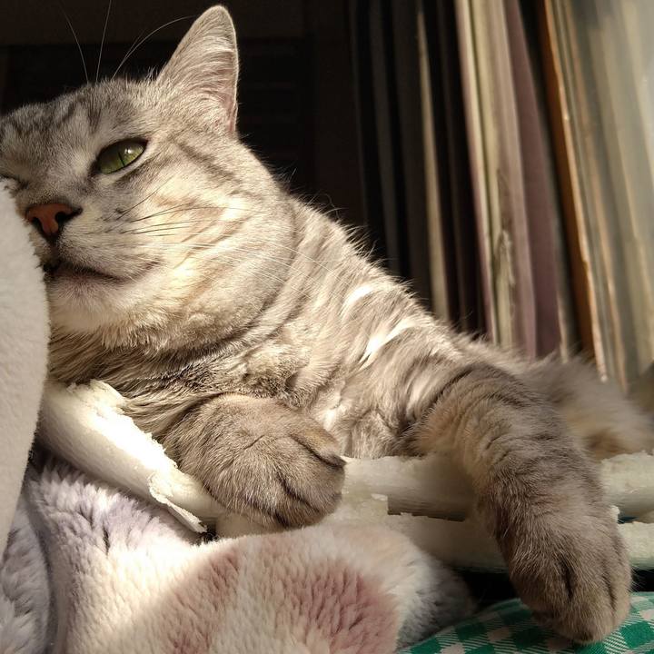 6cf9ee37 2803 4868 b44c e94f5eec4ad9 1578624710095