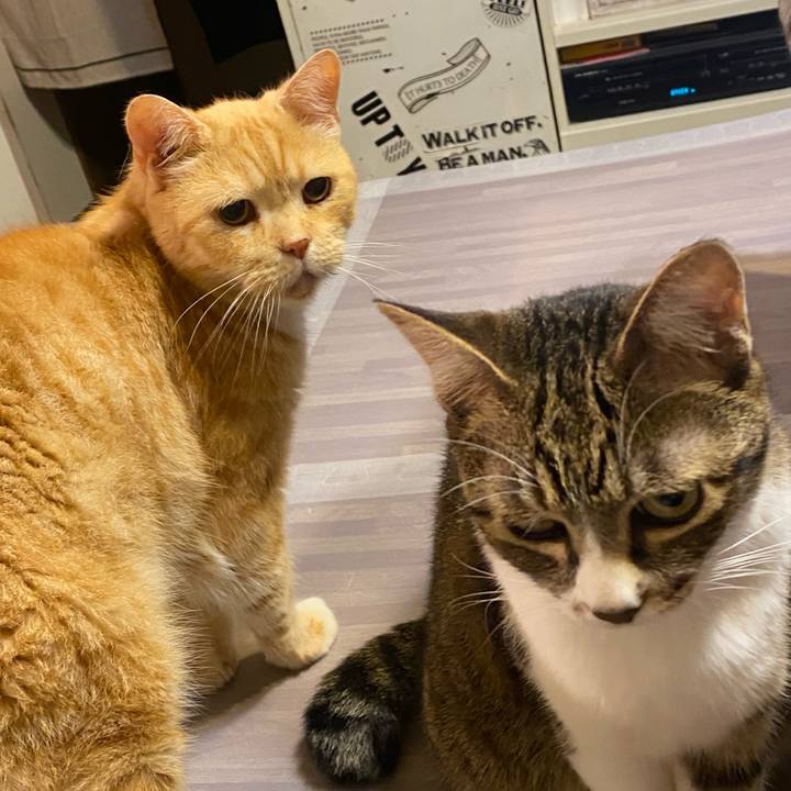 6cf9ee91 b1e0 4051 ae34 d9c7a9dac51a 1625487658310