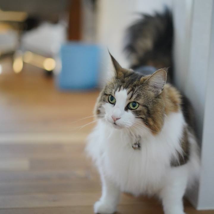 6cfa006b f5a7 41ad 8466 063dee035680 1698290992474