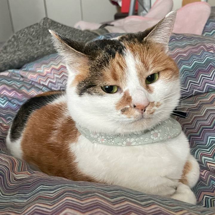 6cfa0c24 2a75 4d7e 86fa e122e9d8d86c 1673566695004