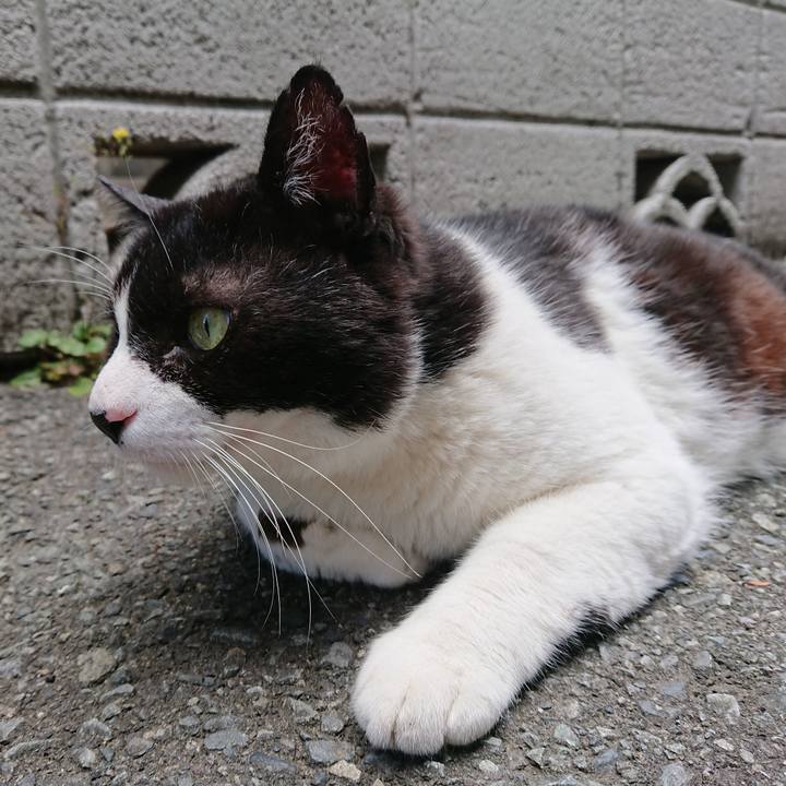 6cfa2d34 3184 4263 9022 97fb03646e4c 1560653576854