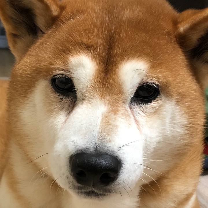 6cfa319b ca33 4527 93a2 40cd95a1db12 1542507317912