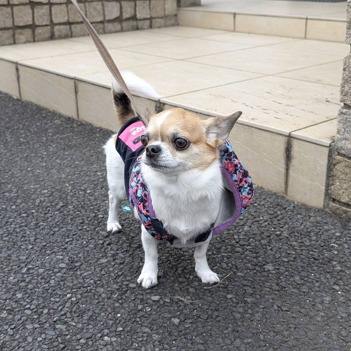 6cfa402e f82b 4e67 826a 5bd24f6d0d45 1737275082653