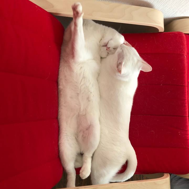 6cfa72c9 1445 439f 8647 3b8f4e490286 1520682487444