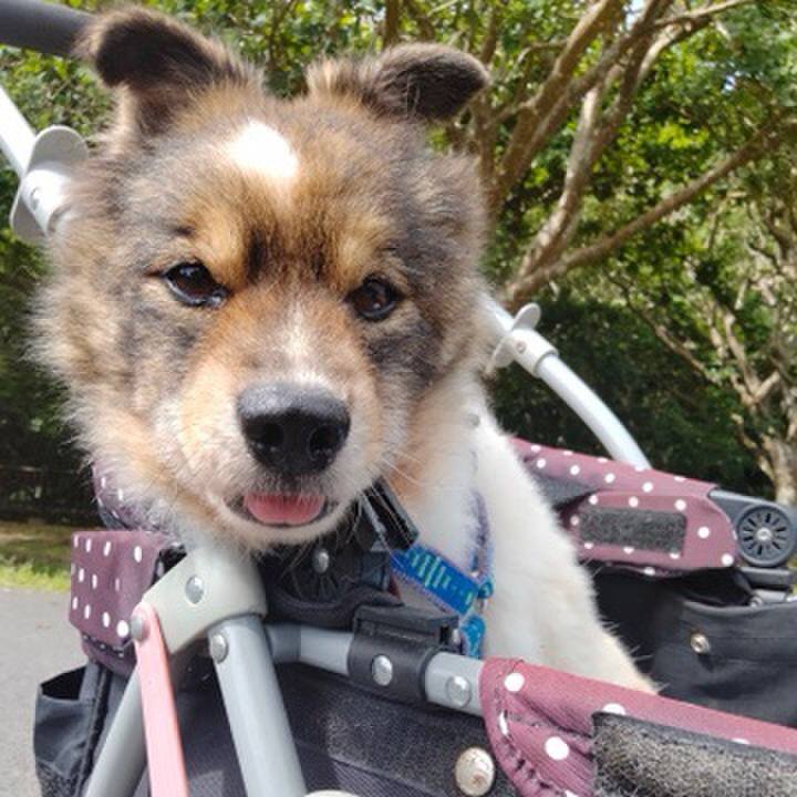 6cfa7b0f 5b0e 49c7 bf29 7c313c9654c5 1621007156389