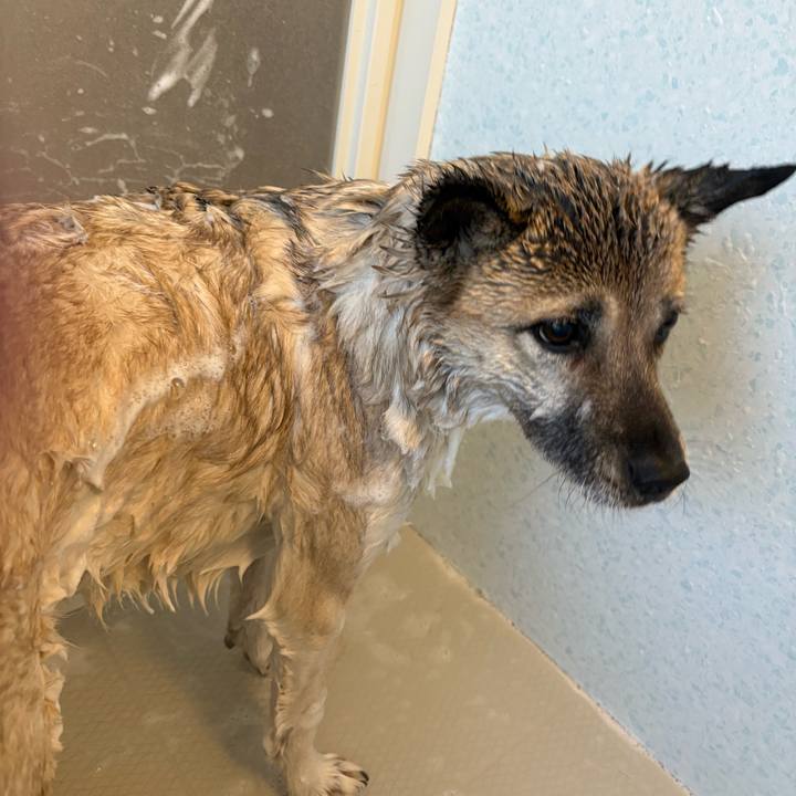 6cfa82b4 d168 47bc bdc0 38823bad2de1 1735640463852