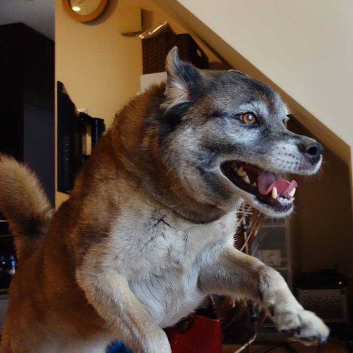 6cfabc49 5659 4516 b321 4b0cc14621ae 1531015588778