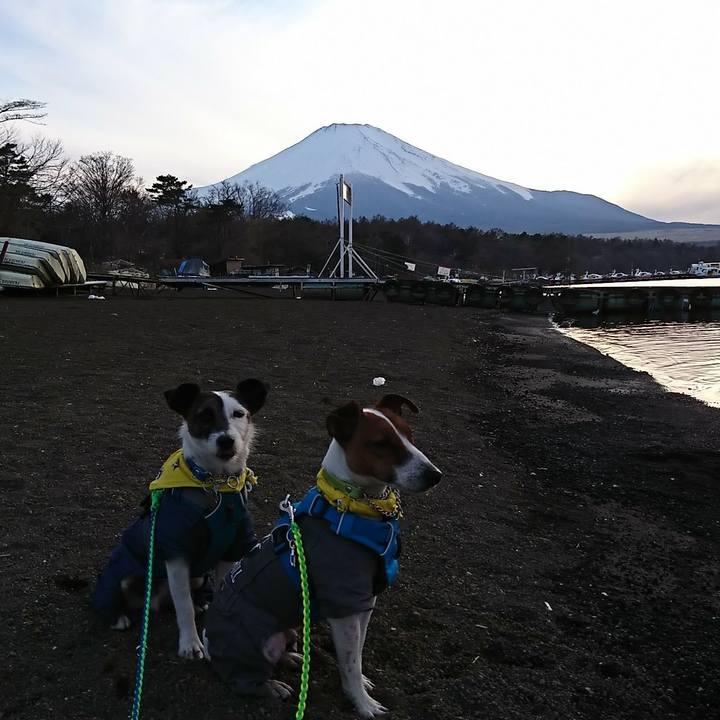 6cfac598 0068 40a7 ab6c ee3a055486e8 1555145514694