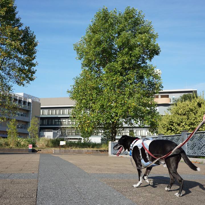 6cfadcd8 21cb 4a1b a6f3 8b7cf058a226 1756857252128