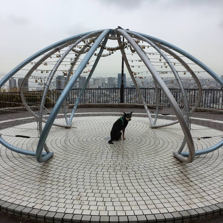 6cfaf9ba 776f 4b5e 8bc4 2a3cbc1757f9 1515229091911