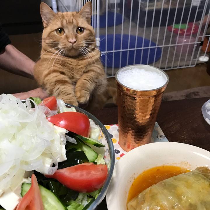 6cfafe42 e68b 4ffc b26d 2e33f4a58ac6 1522839054482