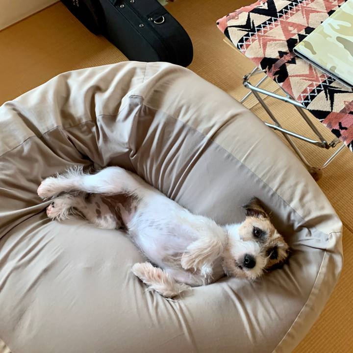 6cfb3479 febd 4166 a68c 0248a7038f7d 1602653444786