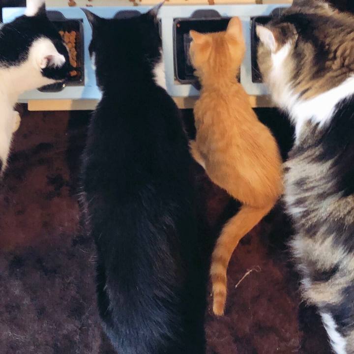 6cfb581c b494 4441 95ba ea930182ae1c 1564700977803