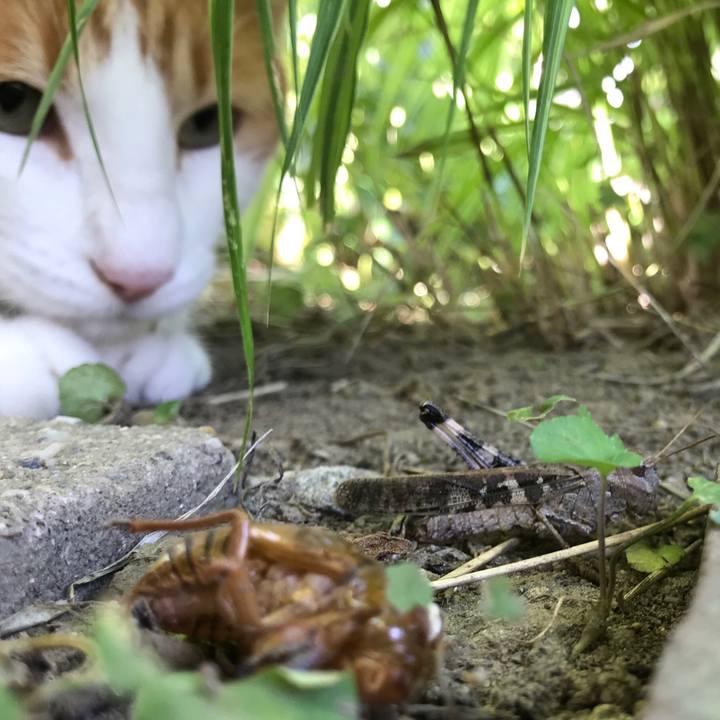 6cfb67ea a94c 451e a33a 7aaea18bba13 1532676953666