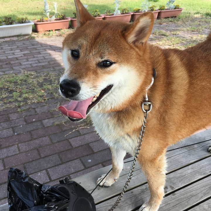 6cfb81b6 9b5e 46ac 81eb 77360ce730bb 1534152347577