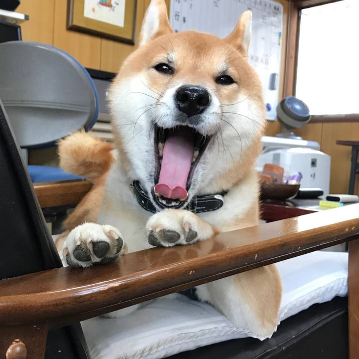 6cfb8658 1240 4fe3 a2d0 3ac7c9b79da0 1518585270016