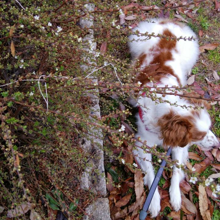 6cfc0cfe 6084 408d 903b c2fb9c09af17 1551342709031