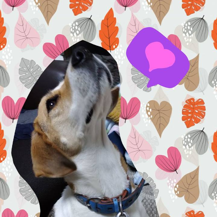 6cfc2039 05e8 479c b759 b704b0cb1d76 1607424073322