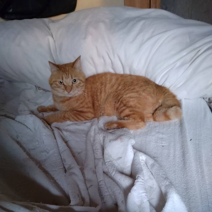 6cfc5875 207a 4730 b274 c094ebbd1a7f 1718921314523