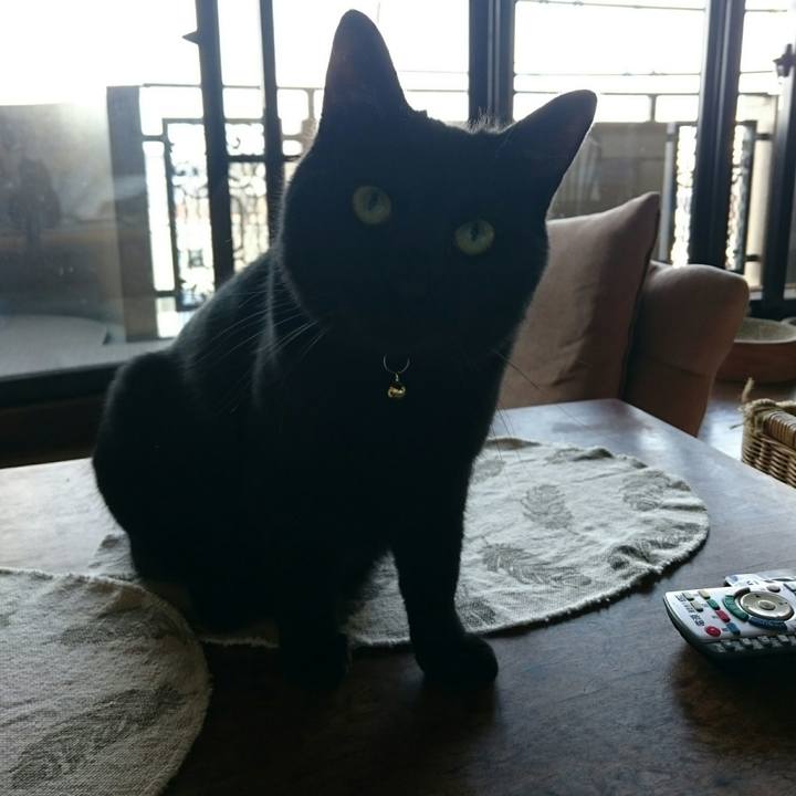 6cfc6752 3b86 465e b599 eb016a739212 1525049428706