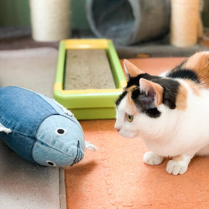 6cfc75e7 c6bf 45e0 b9e2 6ecee8df30d2 1572400054549