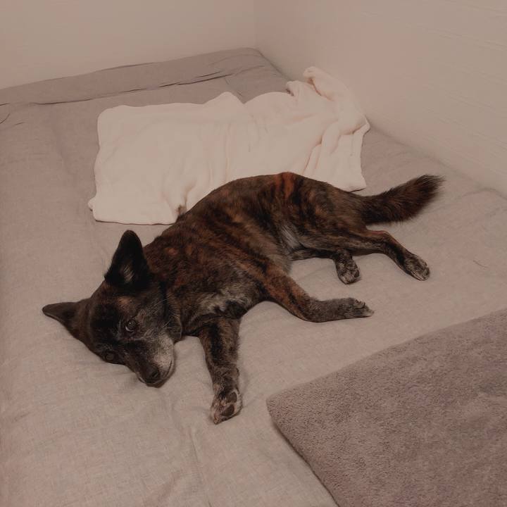 6cfc79ec 109c 41b2 8ec0 698632625508 1625066242667