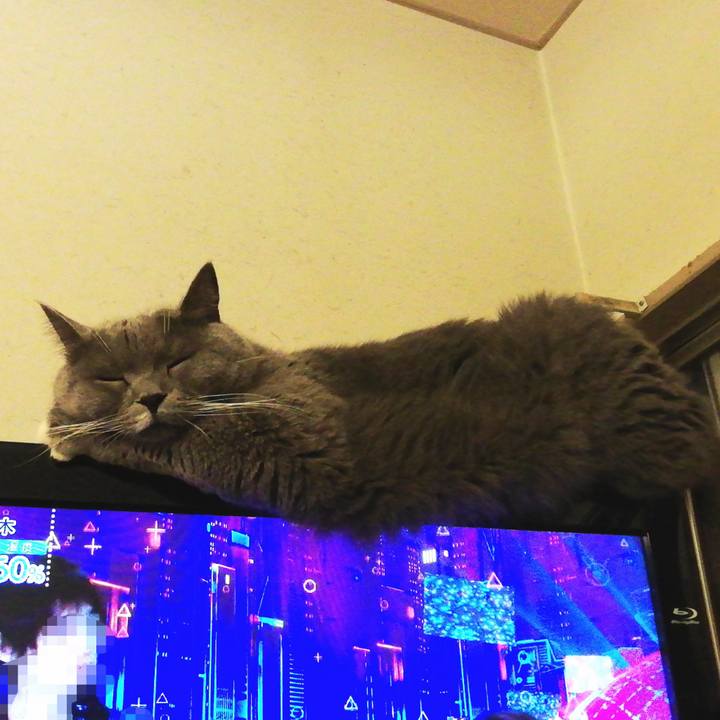 6cfca7bb dc03 4e0c 88b6 a3f6d3484597 1601672692594