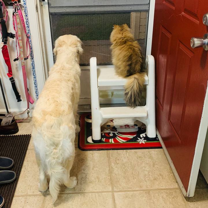 6cfcc237 59e6 4186 817d 7ca868d03f66 1571204055619