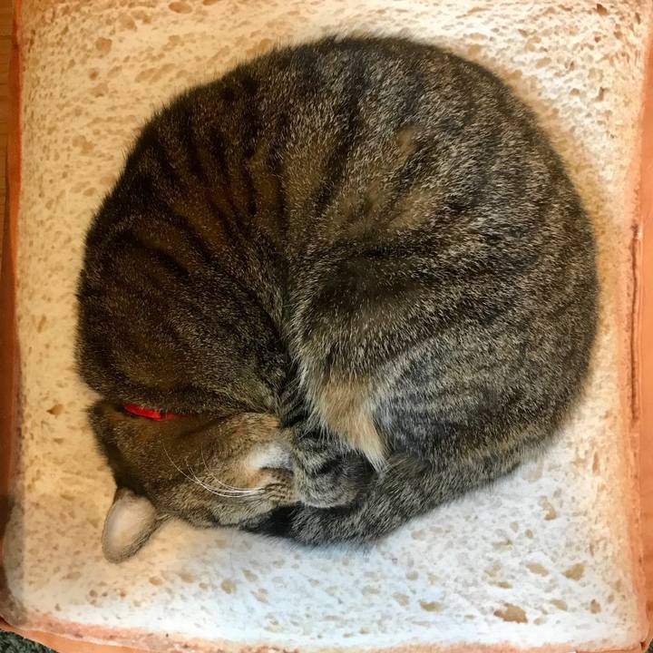 6cfcdf97 da97 4d90 9ebf 1ba0b61763f7 1551342402724