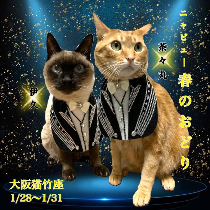 6cfcff6d c06c 43d1 8391 49ee550f927b 1611743999861