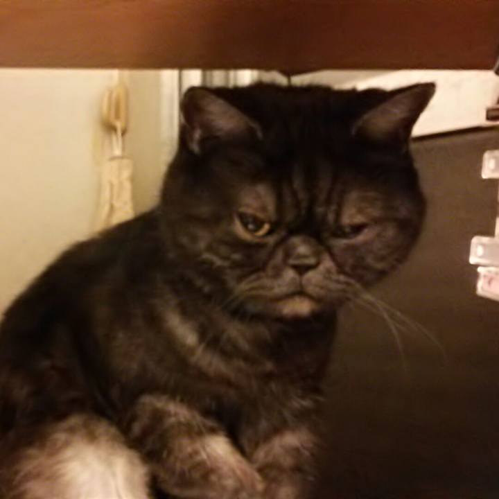 6cfd1c38 123e 4da8 92eb a8e40420e560 1562671329377