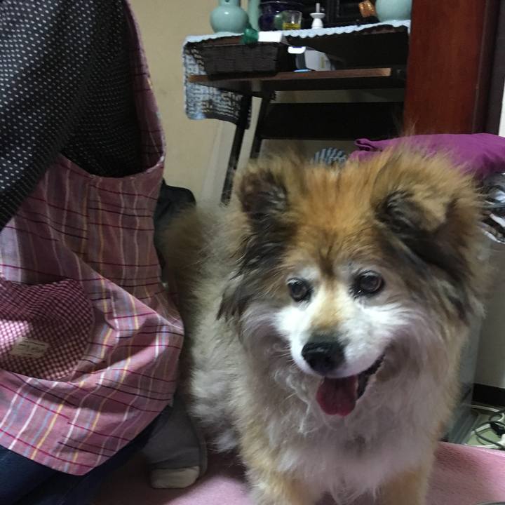 6cfd368b 0060 448c a891 334b734a7e54 1597824853194