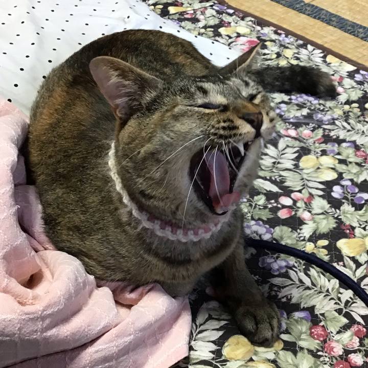 6cfd67e8 1403 423f 8c70 75abe74730fc 1655100485618