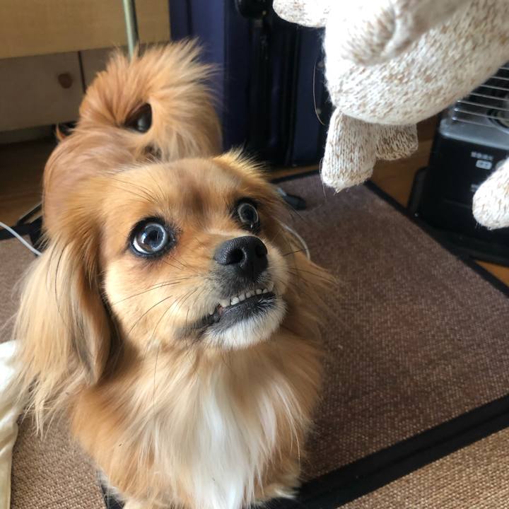 6cfd7993 0510 4e7d aab6 4eff56fce815 1547444196730