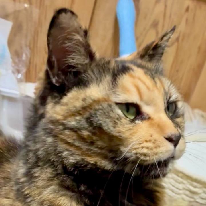 6cfd957a 27e1 4047 acd8 6109b2e3ed6e 1767903391818