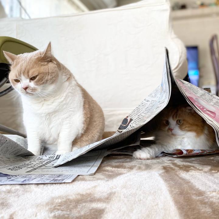 6cfd9c6c 6ac9 4300 bcd0 8f6869fab1cc 1614131499843