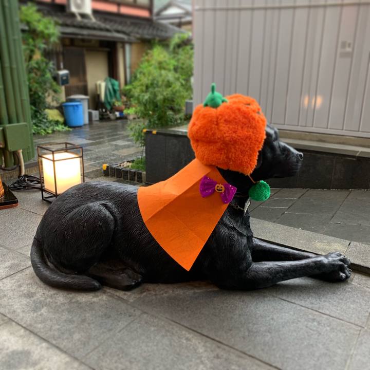 6cfdcfb2 5c6b 48e1 b925 9134c8d47b13 1570971177932