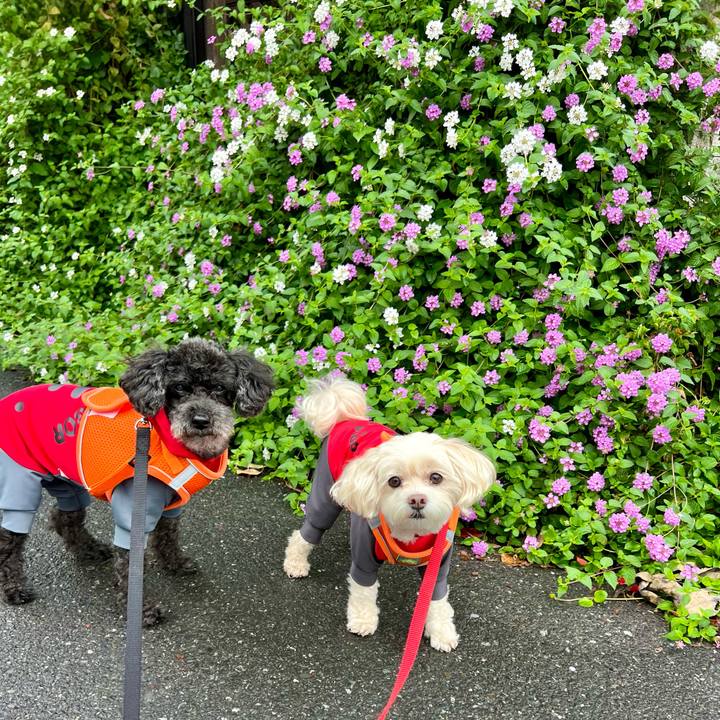 6cfdde3c c5fb 4cb4 9620 477fdef899b3 1760511096994