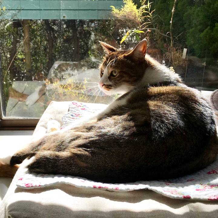 6cfde9f8 8aeb 4dfc bc8a bd824ab0c4b9 1513136788744