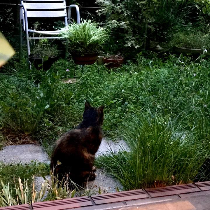 6cfdef90 481a 41cd a4c2 315328725f17 1594117093023