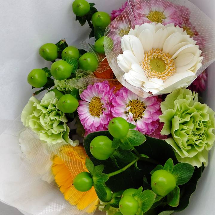 6cfe0ea5 2e92 4a69 baa3 fc844f1f70b6 1581850160287