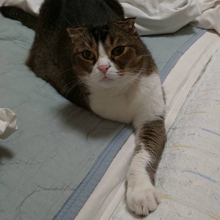 6cfe11dc 6eec 4b6d 905f d600b4fd7cc1 1558970499933