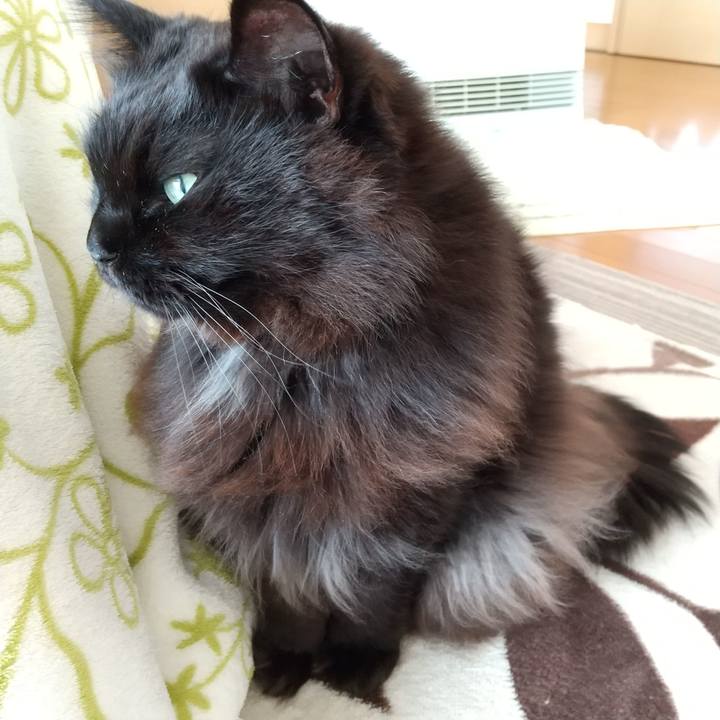 6cfe1b70 9337 47ab b2c9 2bc14348d6bb 1608179727572