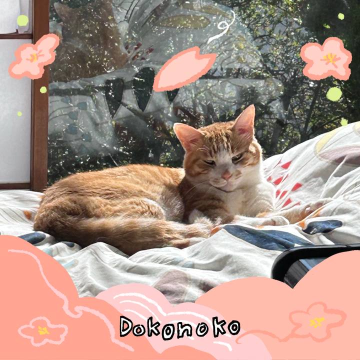 6cfe5ffb 9db4 45b6 9cf1 c015f0105aa2 1775463281875