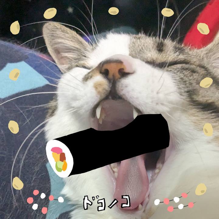 6cfe71b2 33a8 4b89 b3f0 57ec5da5031a 1741066188333