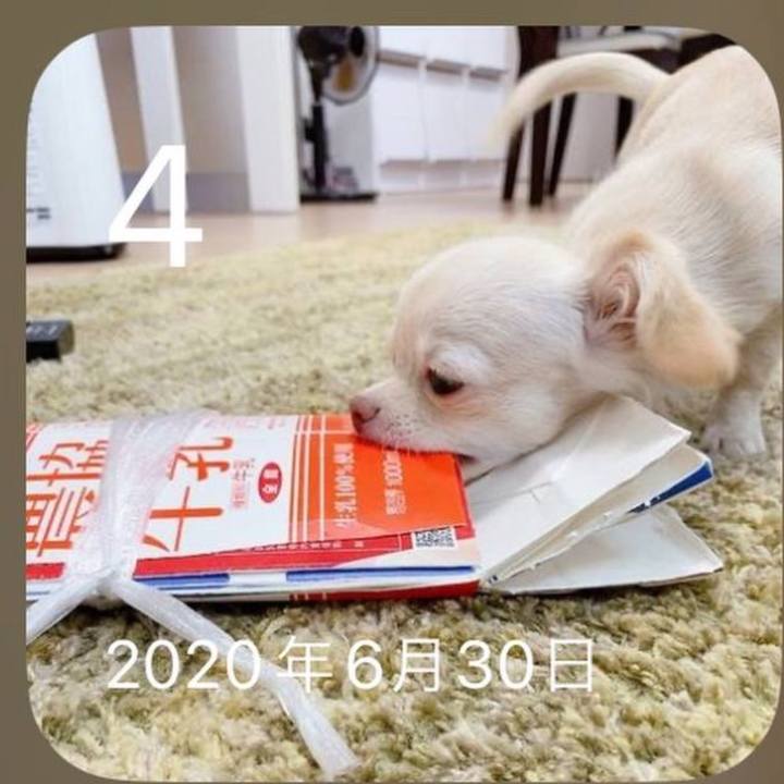 6cfe7c8d bc21 440b 8d5b b8366450b61e 1720522098415